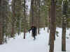 Christine crosscountry skiing.jpg (85099 bytes)
